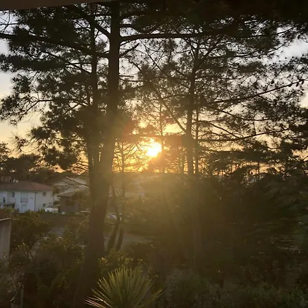 Villa Santocha 9 Personnes *